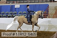 11r12_5485 proof