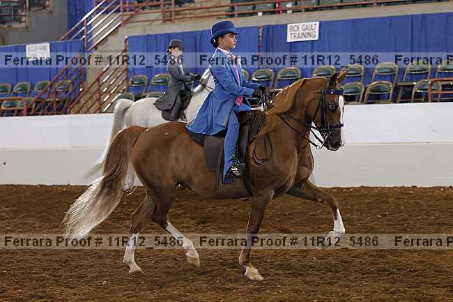 Proof 11r12_5486