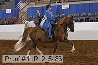11r12_5486 proof