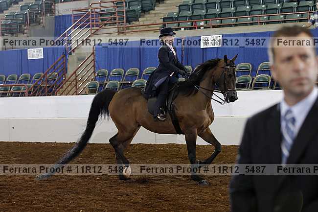 Proof 11r12_5487