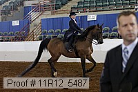 11r12_5487 proof