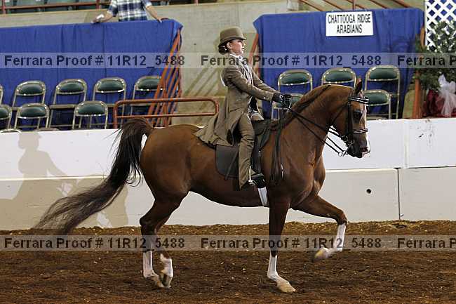Proof 11r12_5488