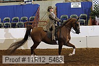11r12_5488 proof