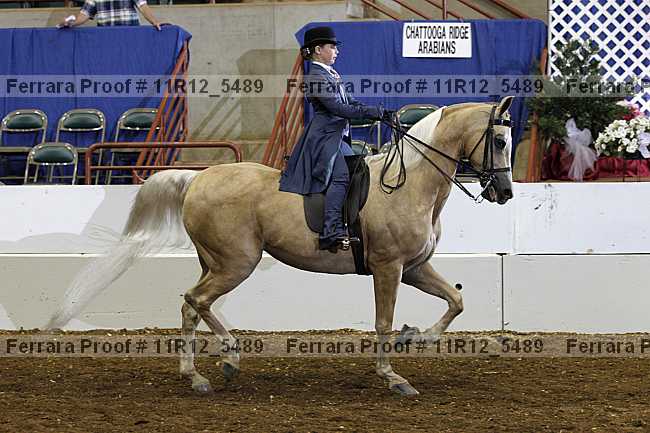 Proof 11r12_5489