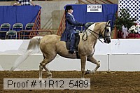 11r12_5489 proof