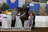 11r12_5494 proof