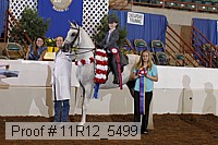 11r12_5499 proof