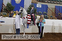 11r12_5500 proof