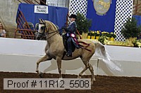 11r12_5508 proof