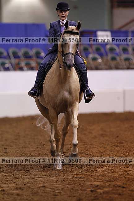 Proof 11r12_5509