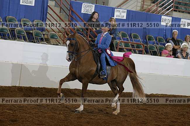 Proof 11r12_5510