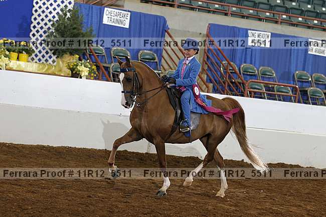 Proof 11r12_5511