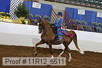 11r12_5511 proof