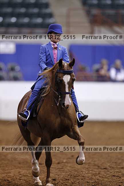 Proof 11r12_5515