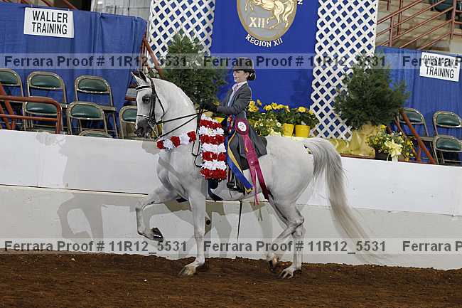 Proof 11r12_5531
