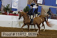 11r12_5539 proof