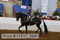 11r12_5541 proof