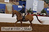 11r12_5548 proof