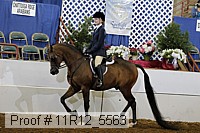 11r12_5563 proof