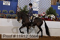 11r12_5564 proof