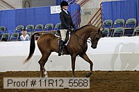 11r12_5568 proof