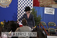 11r12_5579 proof