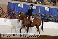 11r12_5586 proof