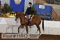 11r12_5587 proof