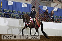 11r12_5589 proof