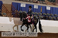 11r12_5591 proof