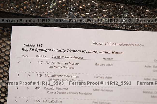 Proof 11r12_5593