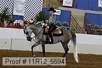 11r12_5594 proof