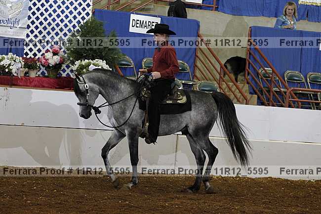 Proof 11r12_5595