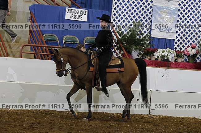 Proof 11r12_5596
