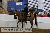 11r12_5596 proof