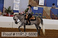 11r12_5598 proof