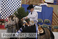 11r12_5601 proof