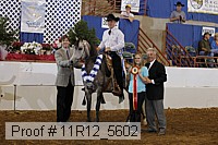 11r12_5602 proof