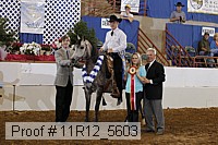 11r12_5603 proof