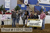 11r12_5604 proof