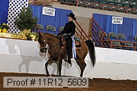 11r12_5609 proof