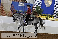 11r12_5618 proof