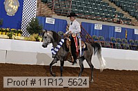 11r12_5624 proof