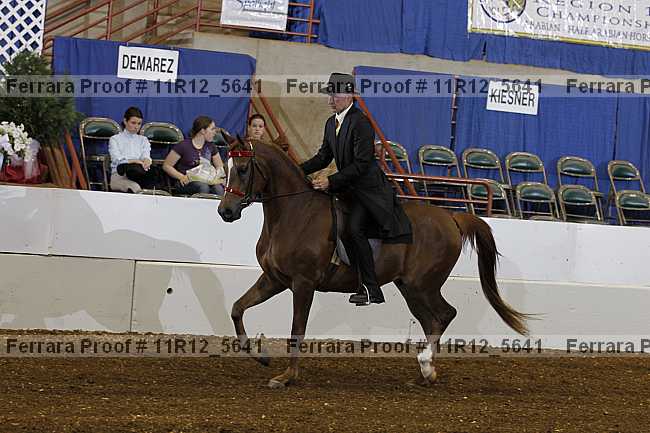 Proof 11r12_5641