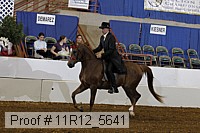 11r12_5641 proof