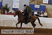 11r12_5642 proof