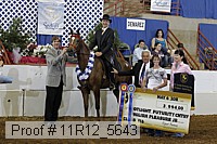 11r12_5643 proof