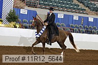 11r12_5644 proof