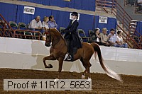 11r12_5653 proof