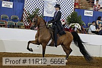 11r12_5656 proof